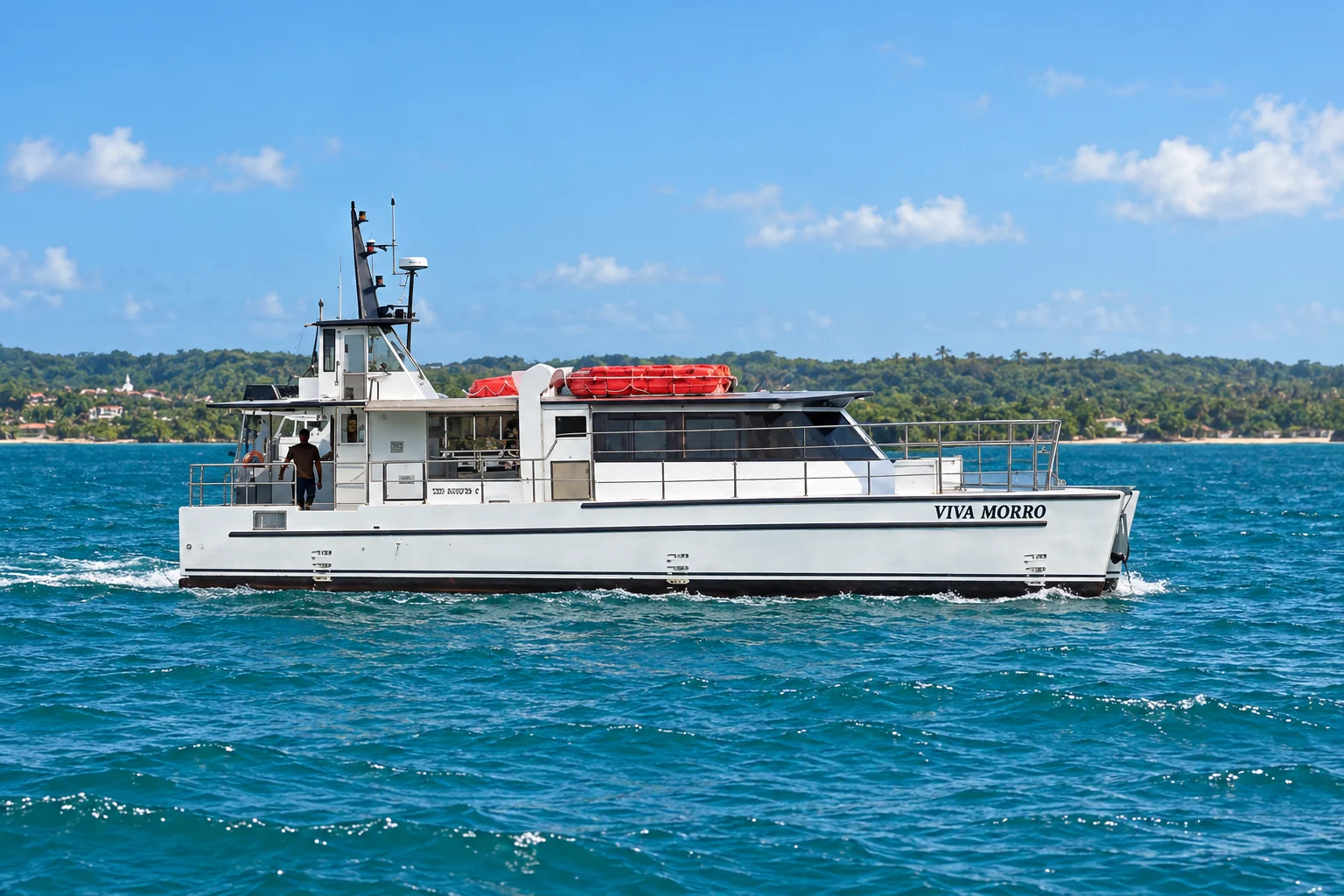 Vista lateral do catamarã branco Viva Morro — recriação ilustrativa baseada nas referências da Ilha Bela